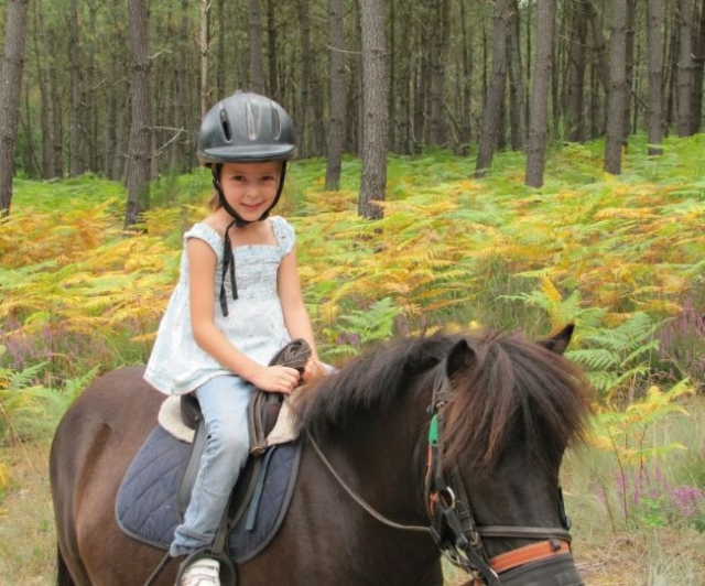  Pony und Pferd in Lot et Garonne 